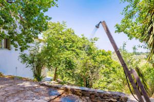 Skopelos Olive Mill Cottage
