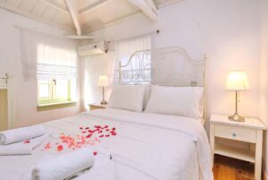 Skopelos Villa Olivia Town