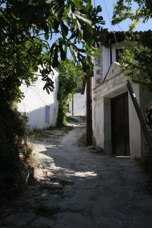 Skopelos Villa Olivia Palio Klima