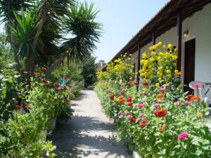 Skopelos Oasis Rooms