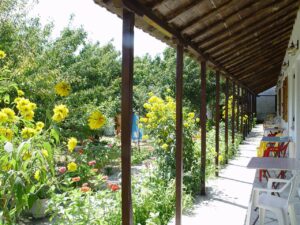 Skopelos Oasis Rooms