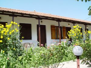 Skopelos Oasis Rooms