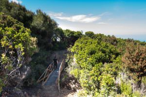 Skopelos Villa Anagennisis Glossa