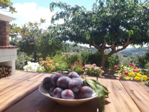 Skopelos Villa Elena
