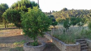 Skopelos Villa Elena