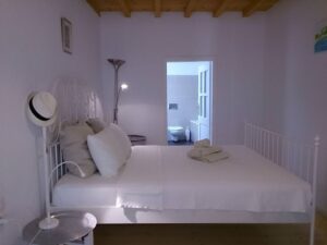 Skopelos Mansion De Villa