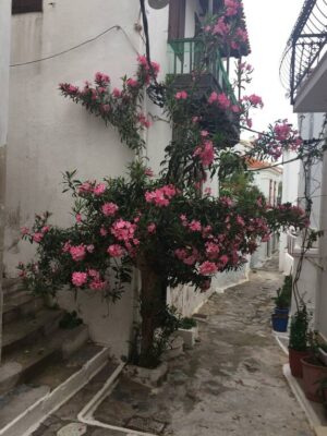 Skopelos Mansion De Villa