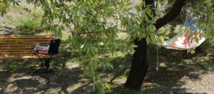 Skopelos Villa Natura Stafylos Stafilos