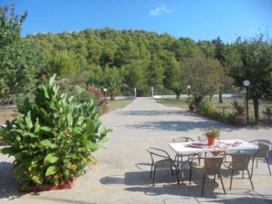 Skopelos Villa Sandra 09